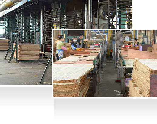 —30年耕耘，實(shí)力深厚